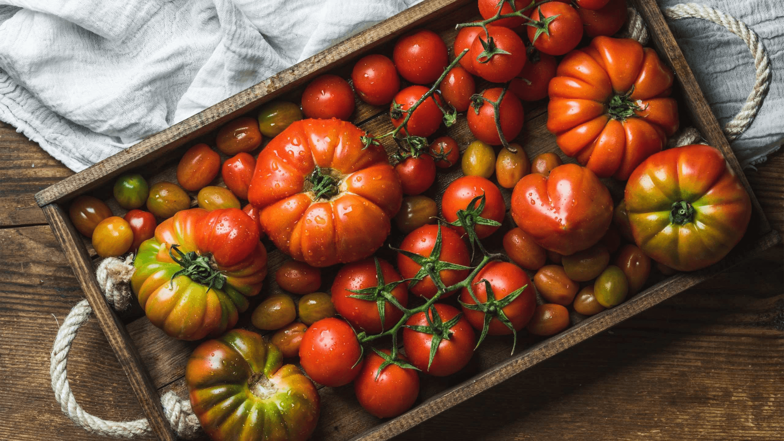 Tailored Bulk Supply